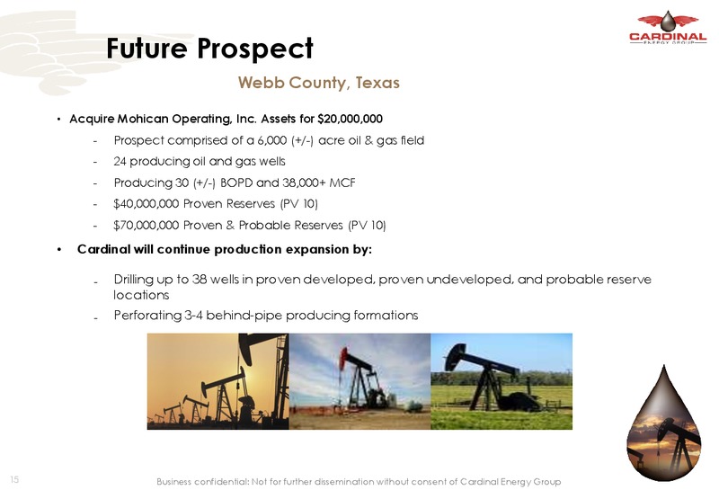 APRIL 2014 INVESTOR PRESENTATION – Cardinal Energy Group Inc. – slide 14