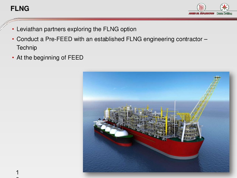 INVESTOR PRESENTATION – Delek Drilling – slide 19