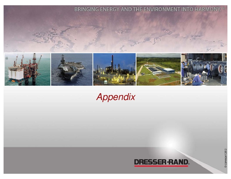 BBT 7TH ANNUAL COMMERCIAL AND INDUSTRIAL CONFERENCE – Dresser Rand Group Inc – slide 21