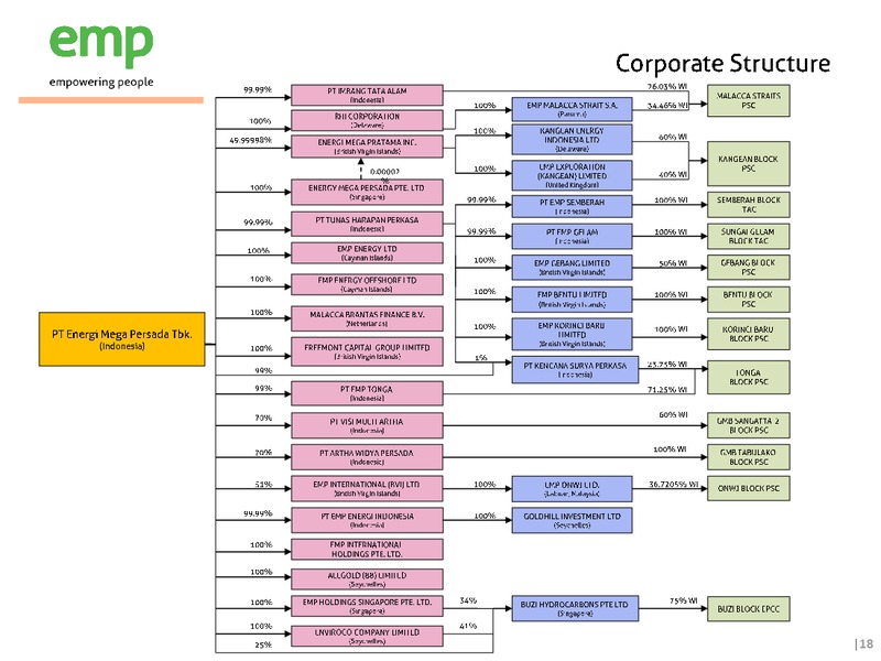 H1 2015 Financial Results – EMP – slide 18