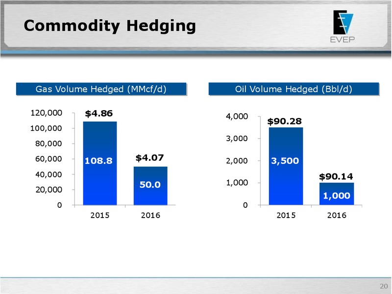 Raymond James 36th Annual Institutional Investor Conference – EV Energy Partners Lp – slide 19