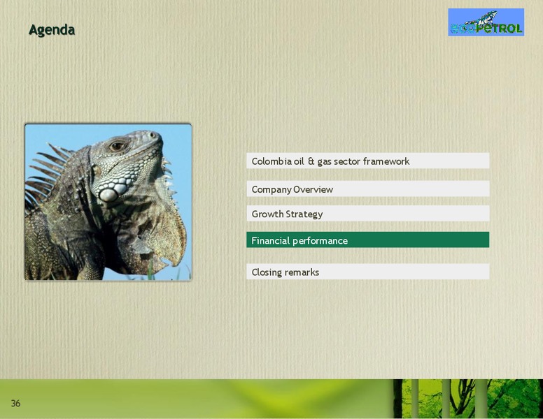 December 2008 Investor Presentation – Ecopetrol S.A. – slide 36