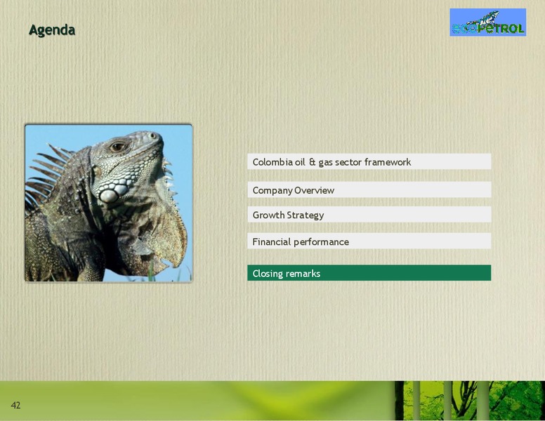 December 2008 Investor Presentation – Ecopetrol S.A. – slide 42