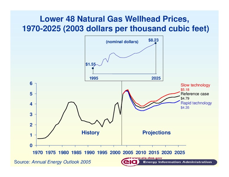 Coastal Zone Management 2005 Conference – EIA – slide 21