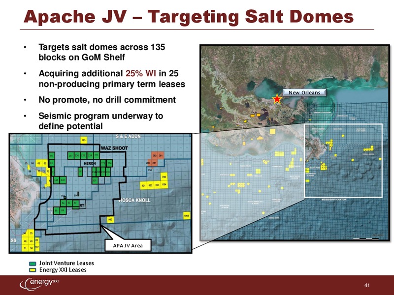 IPAA Oil and Gas Investment Symposium – Energy XXI Gulf Coast, Inc – slide 40