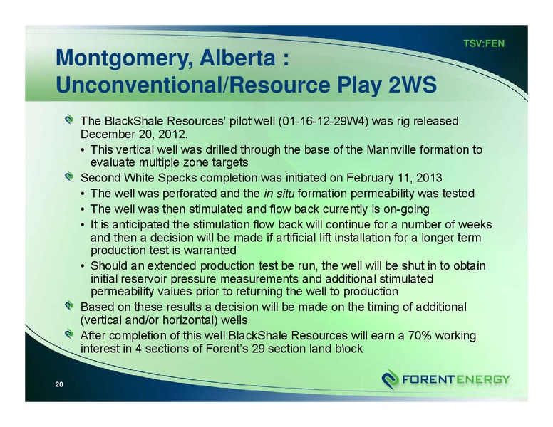 Balanced Growth Strategy – Forent Energy Ltd. – slide 20