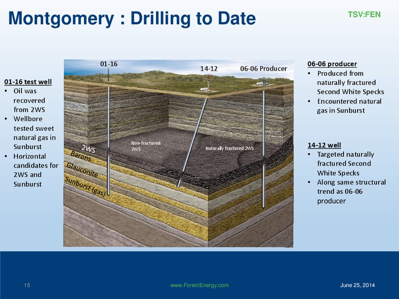 ANNUAL GENERAL MEETING – Forent Energy Ltd. – slide 15