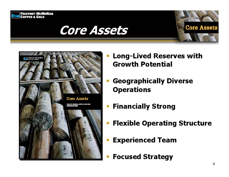 2009 Global Steel and Mining Conference – Freeport-Mcmoran Inc. – slide 2