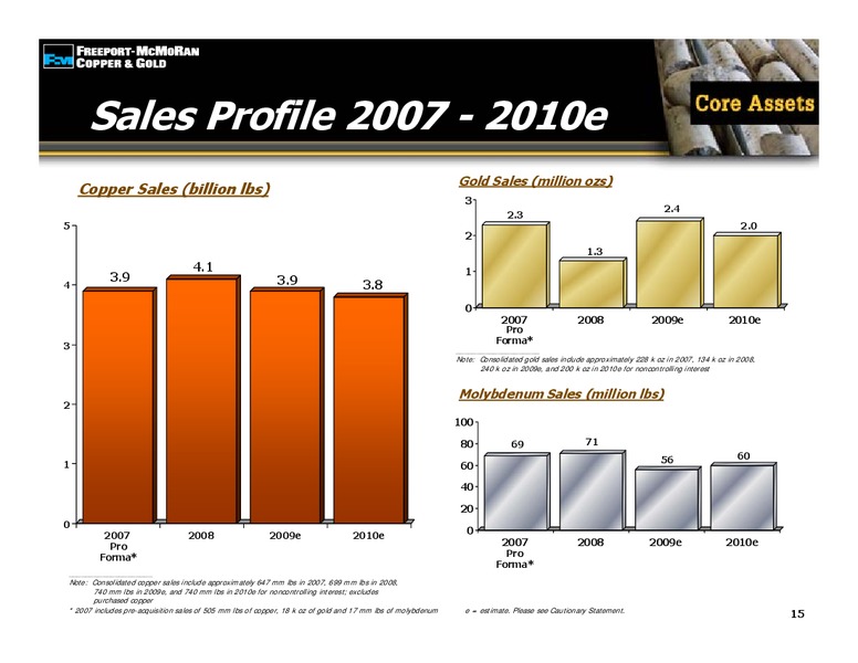 2009 Global Steel and Mining Conference – Freeport-Mcmoran Inc. – slide 14