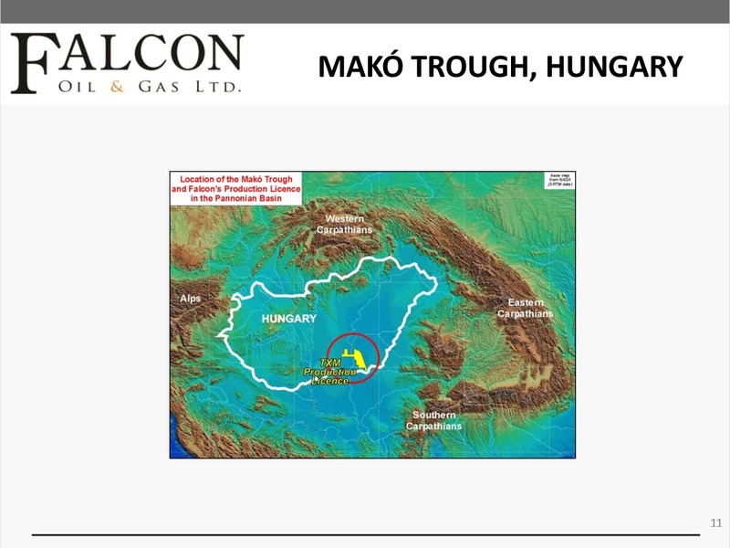 ENERCOMS THE OIL AND GAS CONFERENCE – Falcon Oil & Gas Ltd. – slide 10