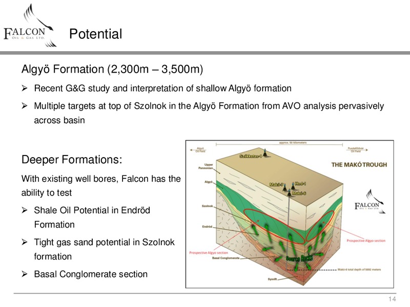 ENERCOMS THE OIL AND GAS CONFERENCE – Falcon Oil & Gas Ltd. – slide 13