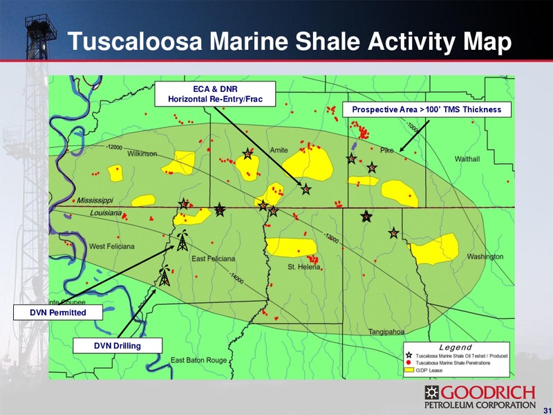 THE 2011 GLOBAL HUNTER SECURITIES CONFERENCE – Goodrich Petroleum Corp. – slide 30