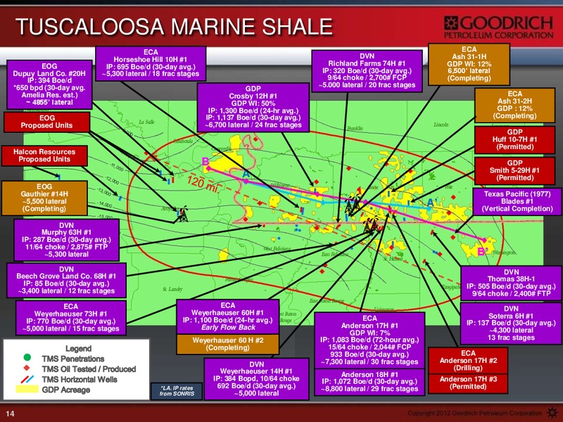 HOWARD WEIL ENERGY CONFERENCE – Goodrich Petroleum Corp. – slide 13