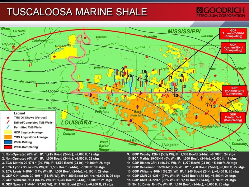 Enercom The Oil and Gas Conference – Goodrich Petroleum Corp. – slide 20
