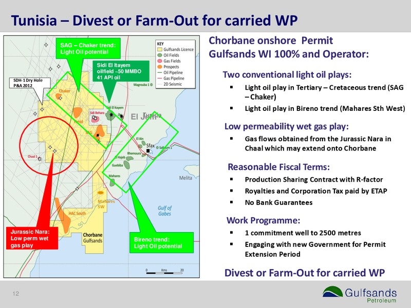 MARCH 2015 CORPORATE PRESENTATION – Gulfsands Petroleum Plc – slide 11