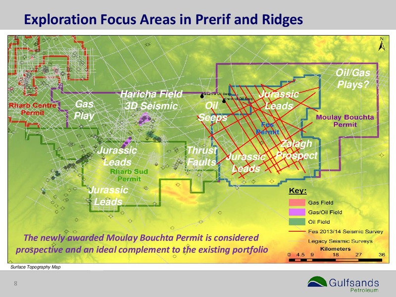 INVESTOR PRESENTATION – Gulfsands Petroleum Plc – slide 8