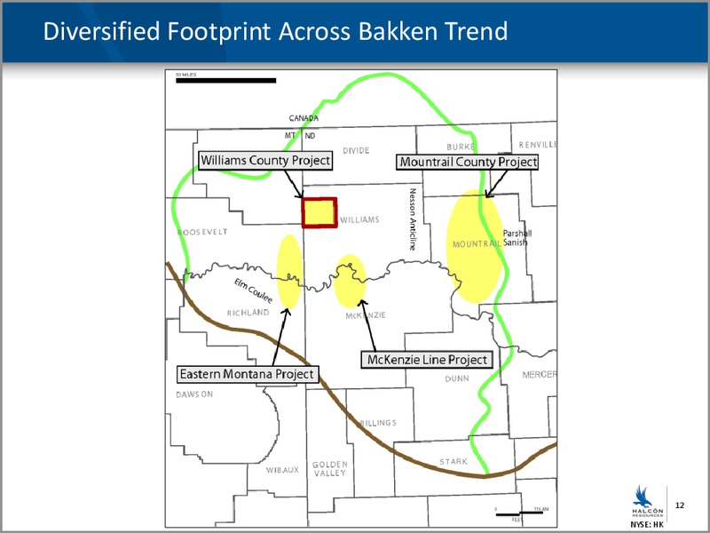 4TH ANNUAL JOHNSON RICE ENERGY CONFERENCE – Halcon Resources Corp – slide 10