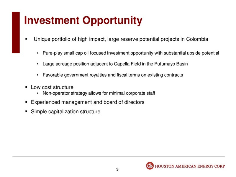 INVESTOR PRESENTATION – Houston American Energy Corp. – slide 3