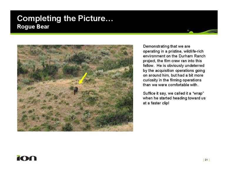August 2008 Investor Presentation – Ion Geophysical Corp – slide 21