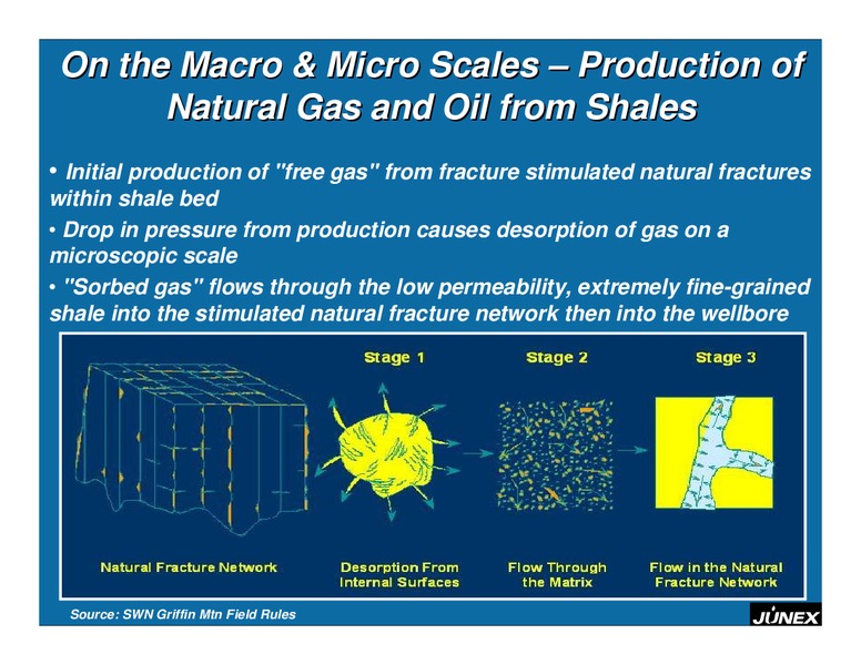 INVESTOR PRESENTATION – Junex Inc. – slide 20