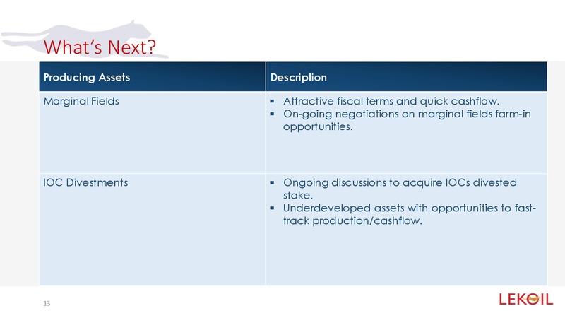 Investor Presentation – Lekoil – slide 13