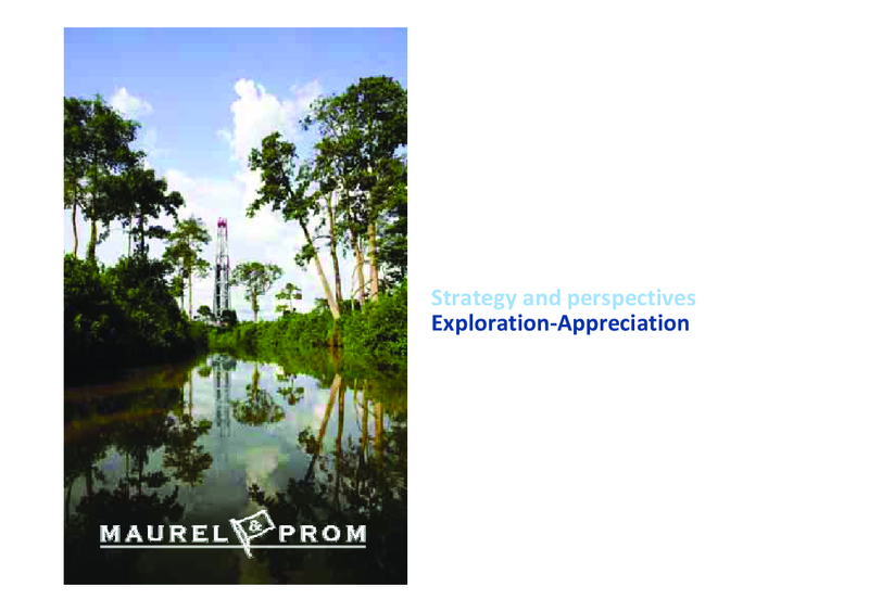 2010 FULL YEAR RESULTS PRESENTATION – Maurel Et Prom – slide 29