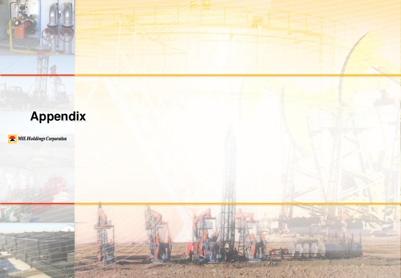 2013 Annual Results Presentation – Mie Holdings Corp. – slide 30