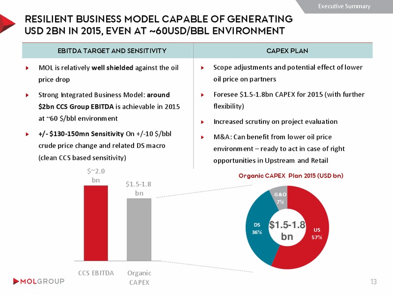 INVESTOR PRESENTATION – Mol Group – slide 13