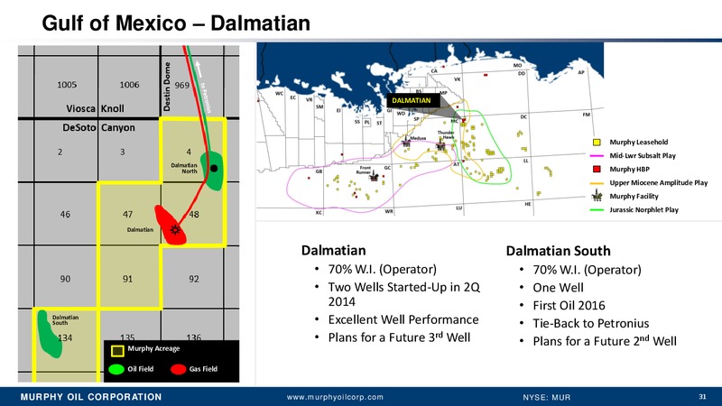 Wells Fargo 2014 Energy Symposium – Murphy Oil Corp – slide 25