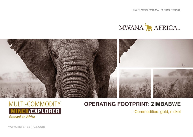 INVESTOR PRESENTATION – Mwana Africa – slide 7