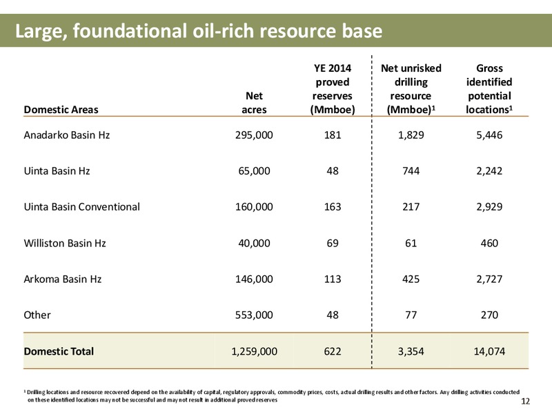 YE14 Update and 2015 Outlook – Newfield Exploration Co. – slide 11