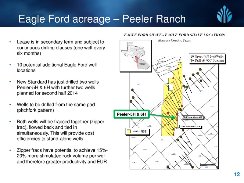 Investor Presentation – New Standard Energy – slide 12