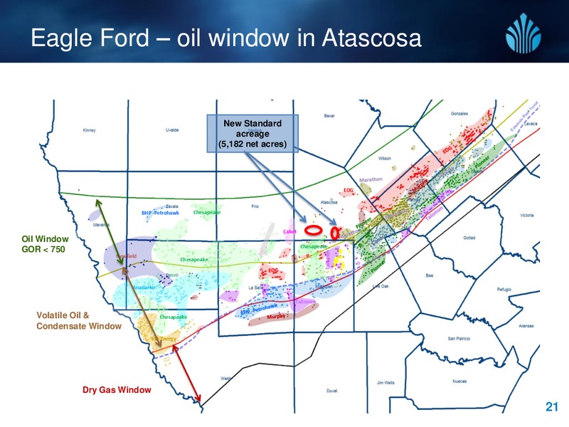 Investor Update – New Standard Energy – slide 20