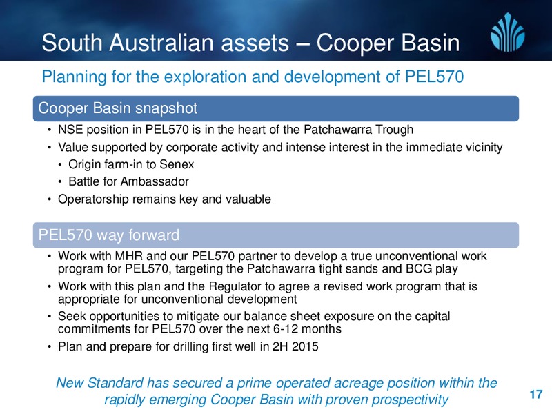Investor Update – New Standard Energy – slide 17