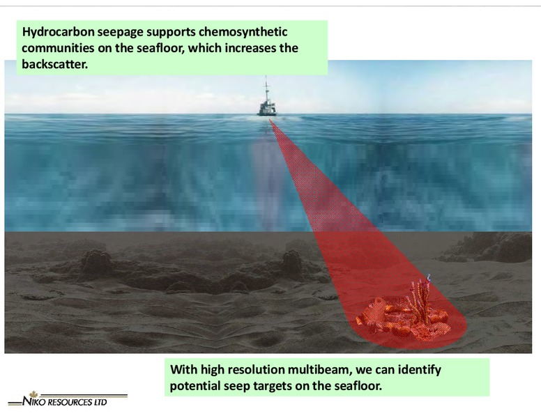 SEPTEMBER 2012 GLOBAL ENERGY CONFERENCE – Niko Resources Ltd. – slide 11