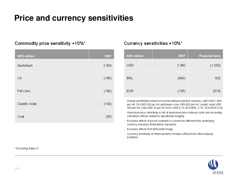 INVESTOR PRESENTATION – Norsk Hydro – slide 91