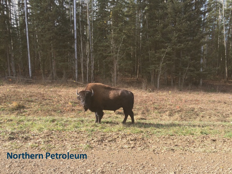 OCTOBER 2014 CORPORATE PRESENTATION – Northern Petroleum Plc – slide 27