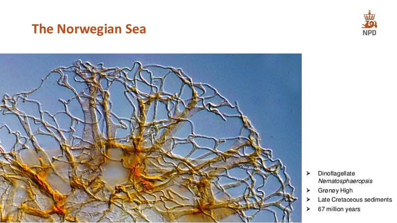 The shelf in 2014 – Norwegian Petroleum Directorate – slide 17
