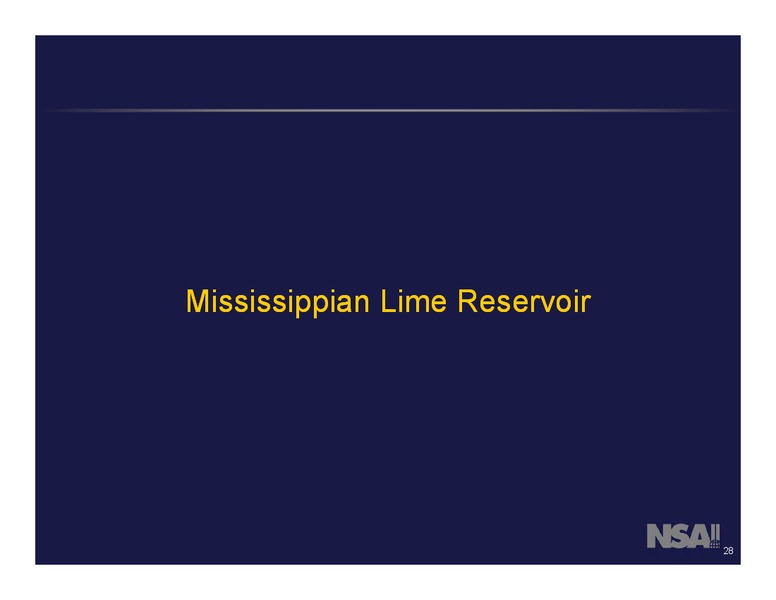 Enercoms London Oil and Gas Conference 4 – Netherland Sewell & Associates – slide 28