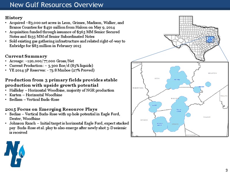 Enercom The Oil and Gas Conference – New Gulf Resources, Llc – slide 2