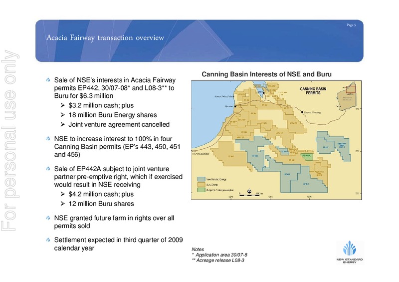 AUGUST 2009 INVESTOR PRESENTATION – New Standard Energy – slide 4