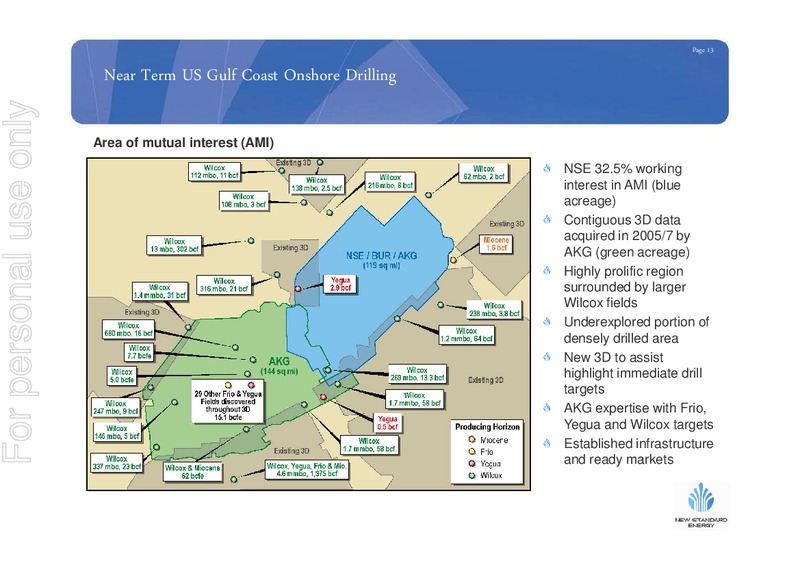 AUGUST 2009 INVESTOR PRESENTATION – New Standard Energy – slide 12