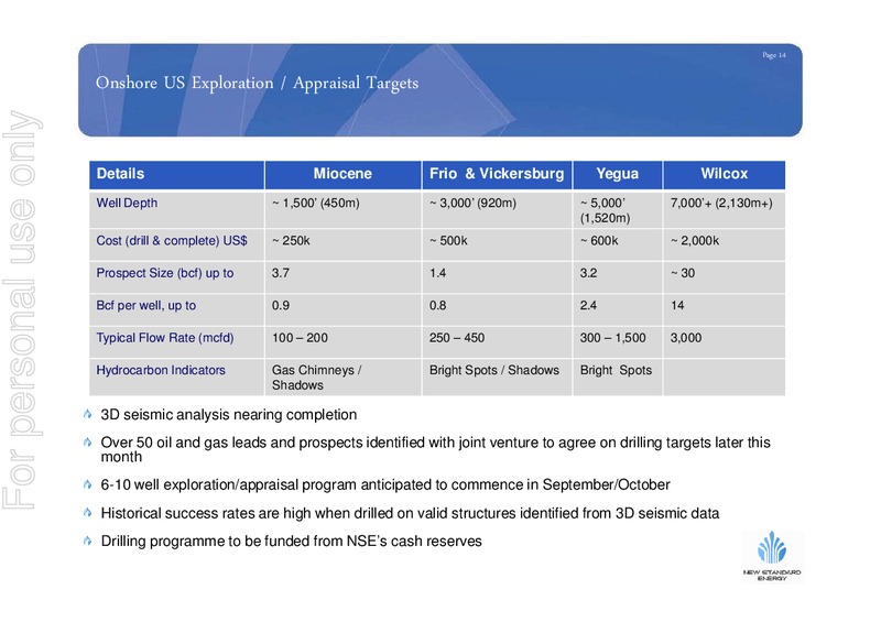 AUGUST 2009 INVESTOR PRESENTATION – New Standard Energy – slide 13