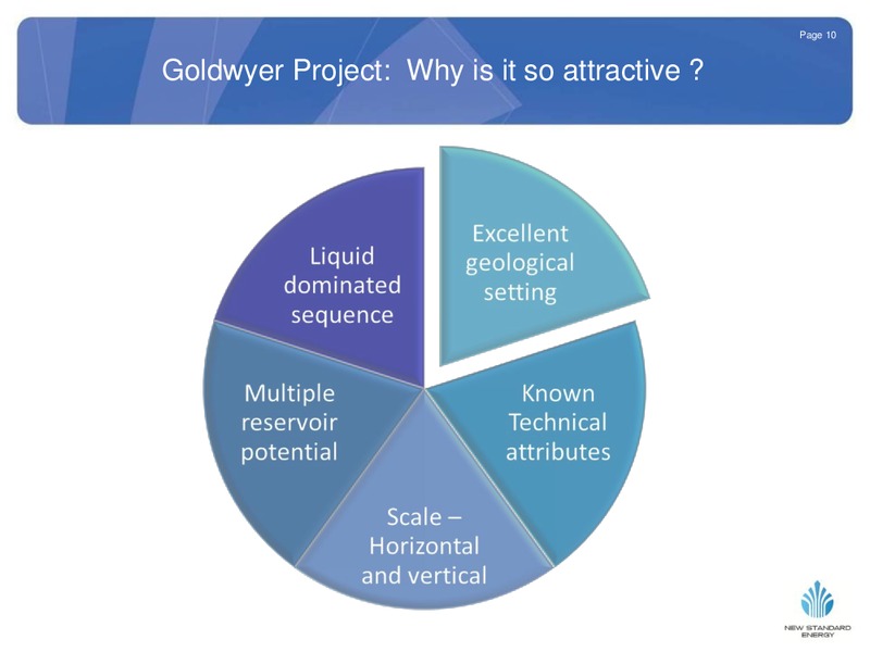 EUROZ OIL AND GAS CONFERENCE – New Standard Energy – slide 10