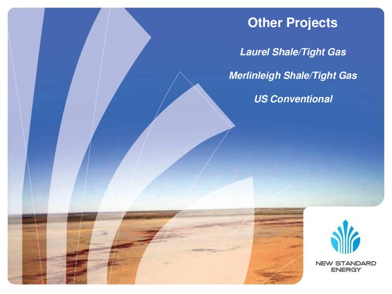 OCTOBER 2011 INVESTOR PRESENTATION – New Standard Energy – slide 17