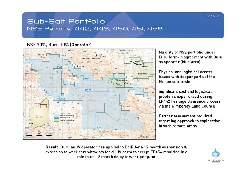 NOVEMBER 2008 INVESTOR PRESENTATION – New Standard Energy – slide 12
