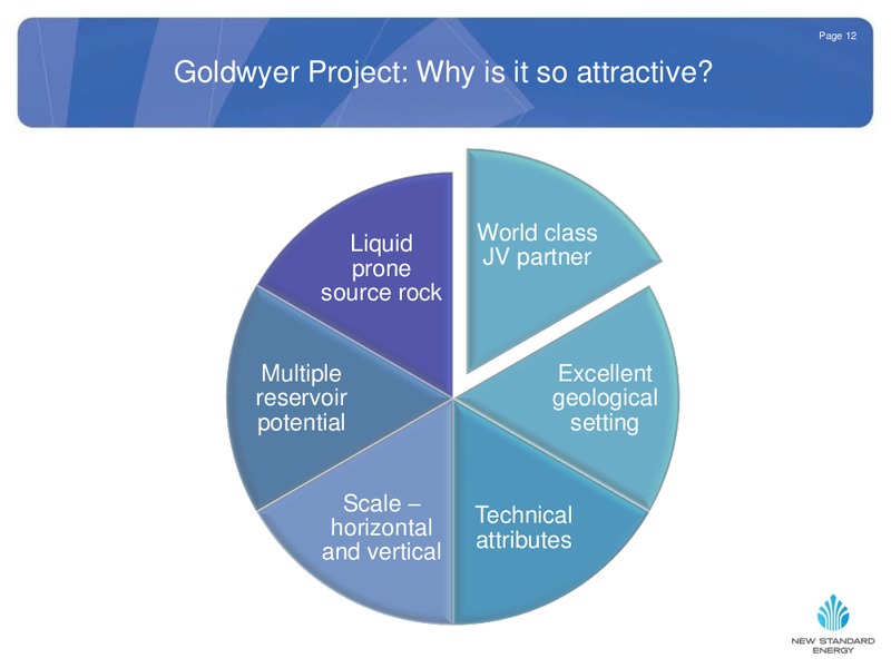NOVEMBER 2012 INVESTOR PRESENTATION – New Standard Energy – slide 12
