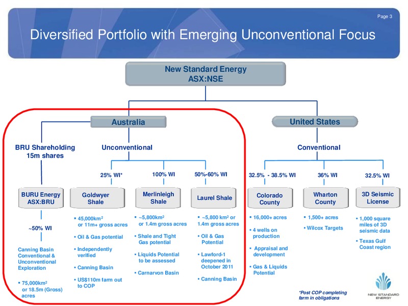 NOVEMBER 2011 INVESTOR PRESENTATION – New Standard Energy – slide 4