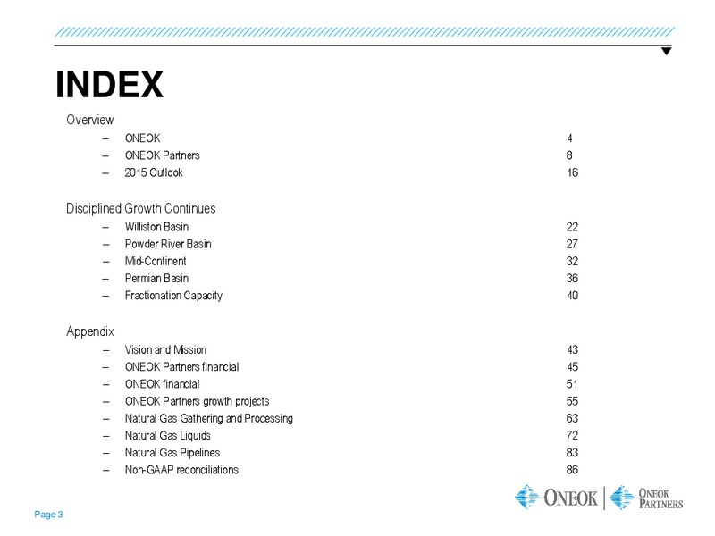 GOLDMAN SACHS GLOBAL ENERGY CONFERENCE – Oneok Partners, L.P. – slide 2