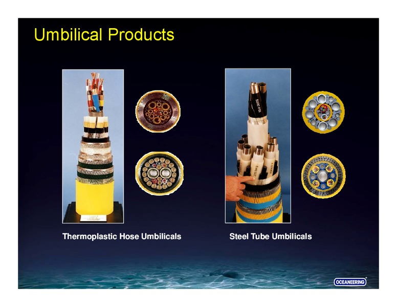 GOLDMAN SACHS GLOBAL ENERGY CONFERENCE – Oceaneering International – slide 44